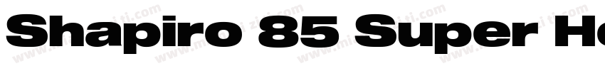 Shapiro 85 Super Hea字体转换